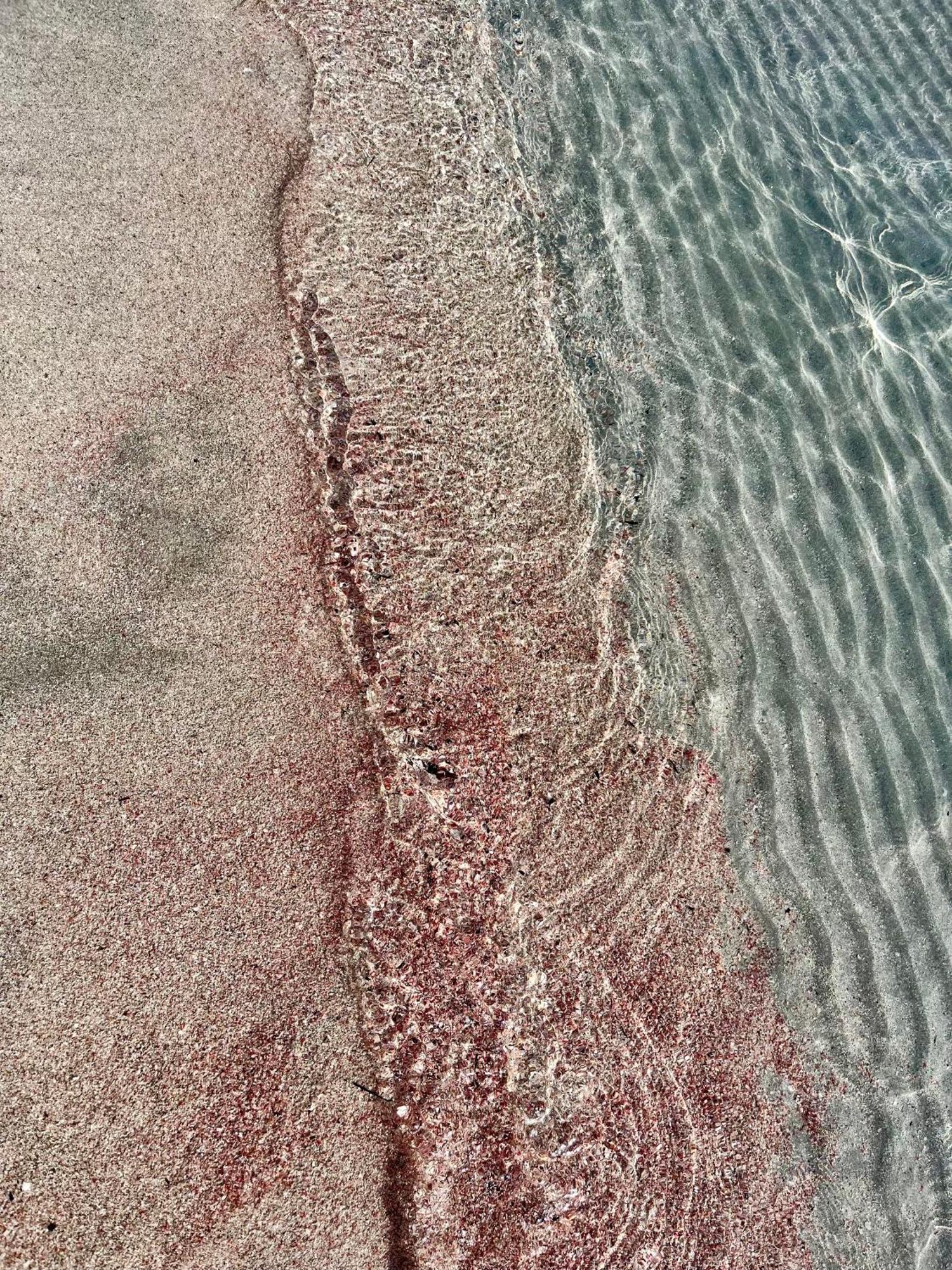 Case Vacanze "Bianco Mare" Porto Pino Exterior foto